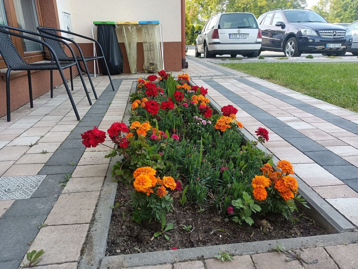 Ogród wokół obiektu