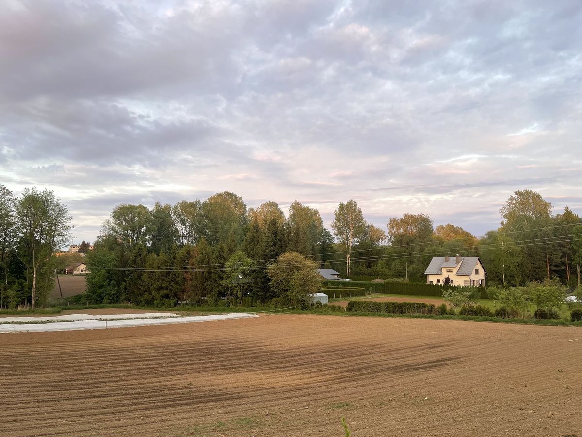 Zdjęcie 6