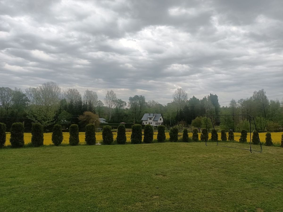widok z okna