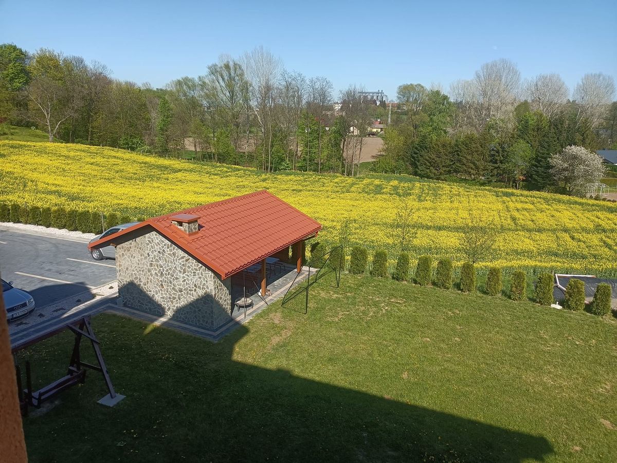 widok z okna