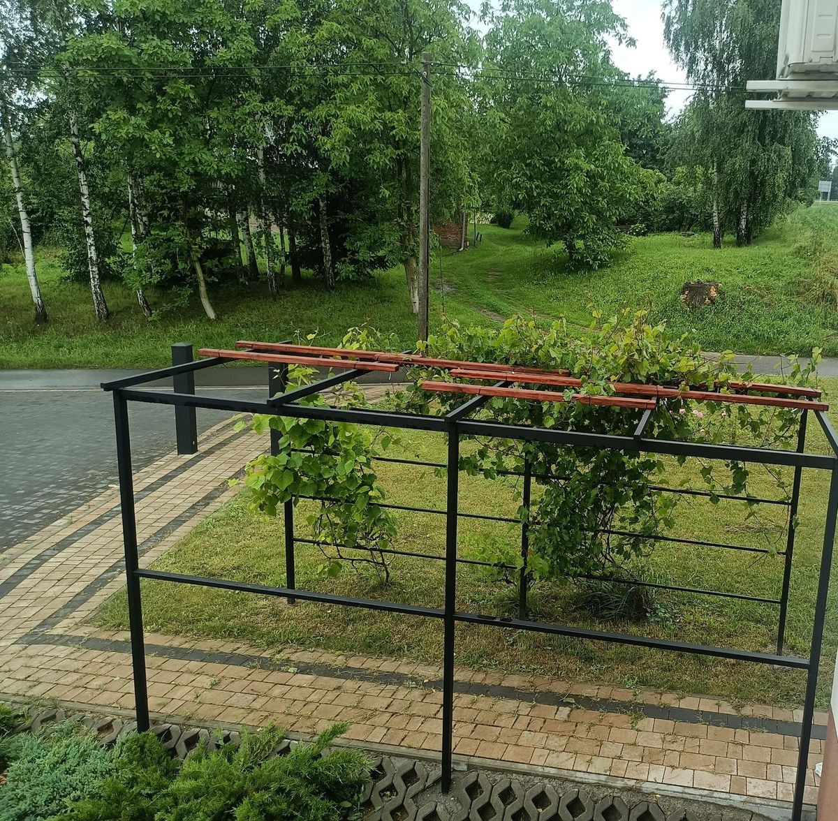 widok z okna
